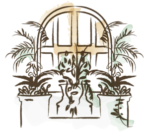 Best Restaurant in Cartagena | Restaurante Alma